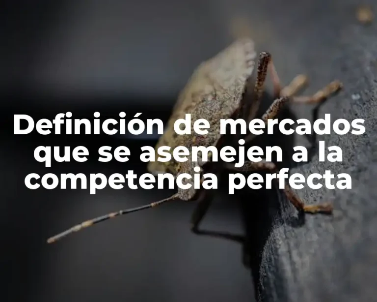 Definición de mercados que se asemejen a la competencia perfecta