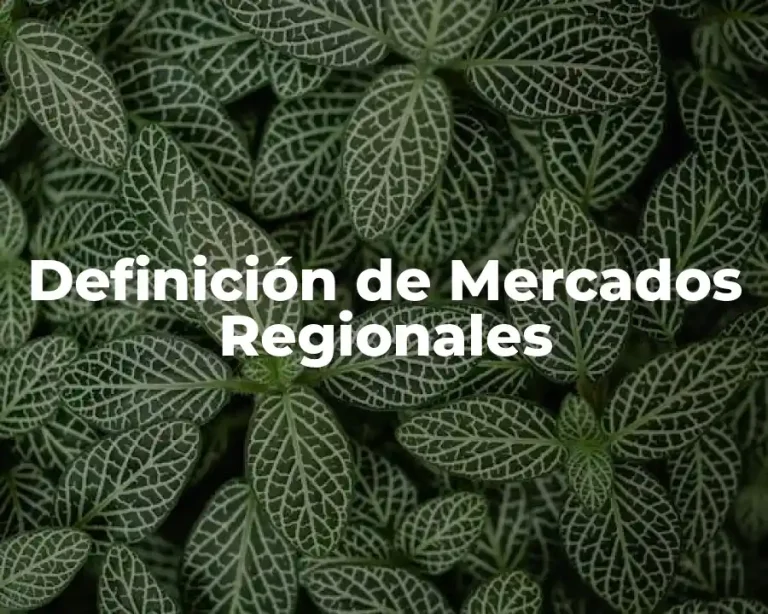 Definición de Mercados Regionales
