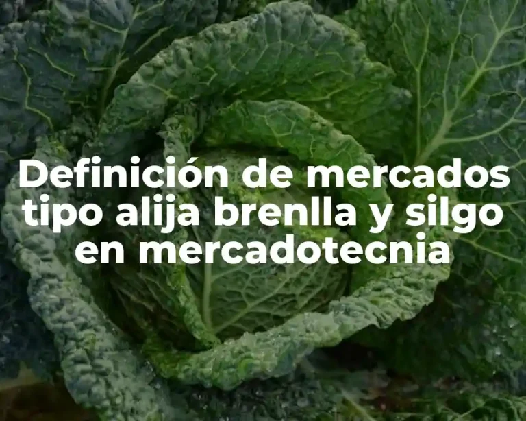 Definición de mercados tipo alija brenlla y silgo en mercadotecnia