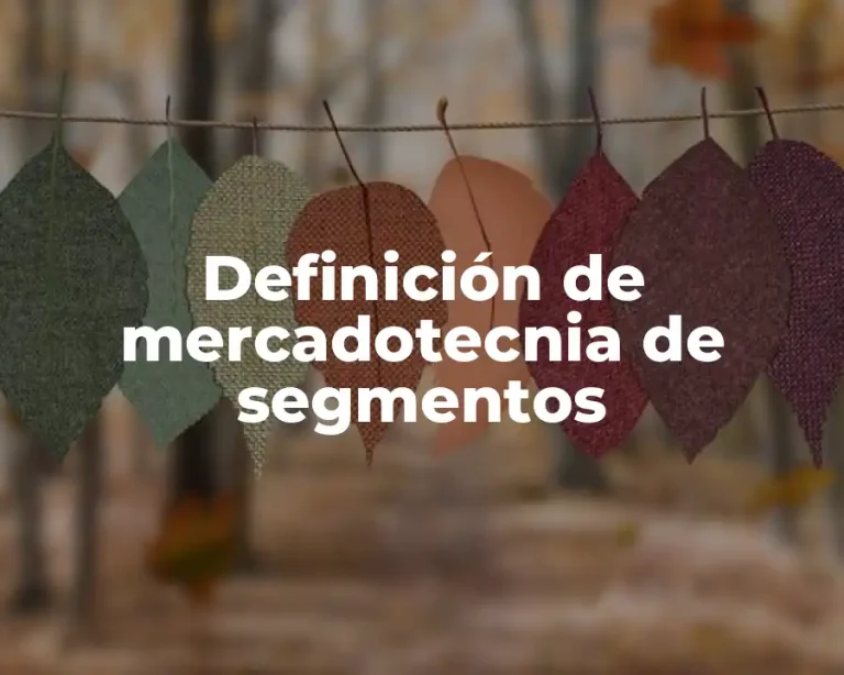 Definición de mercadotecnia de segmentos