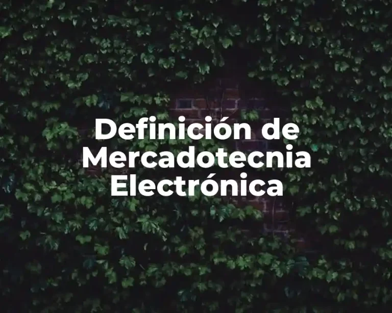 Definición de Mercadotecnia Electrónica