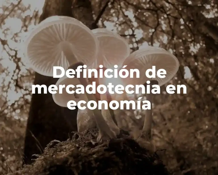 Definición de mercadotecnia en economía