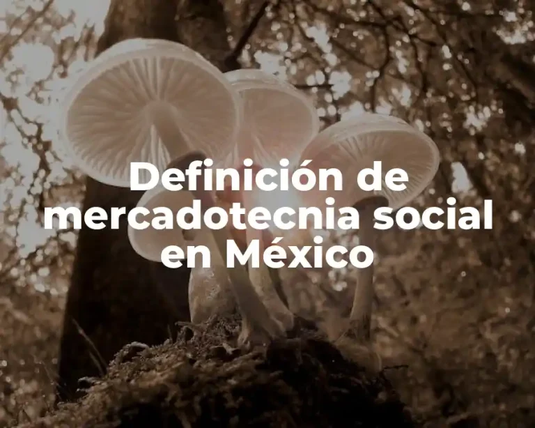 Definición de mercadotecnia social en México