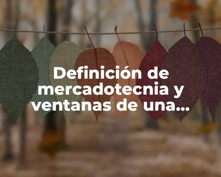 Definición de mercadotecnia y ventanas de una comunidad virtual