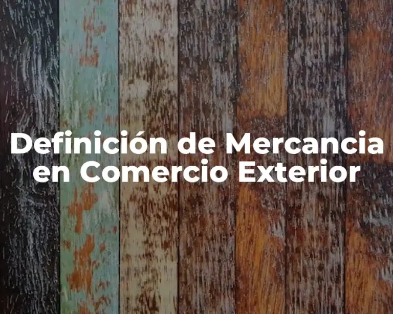 Definición de Mercancia en Comercio Exterior