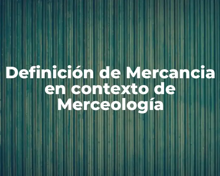 Definición de Mercancia en contexto de Merceología