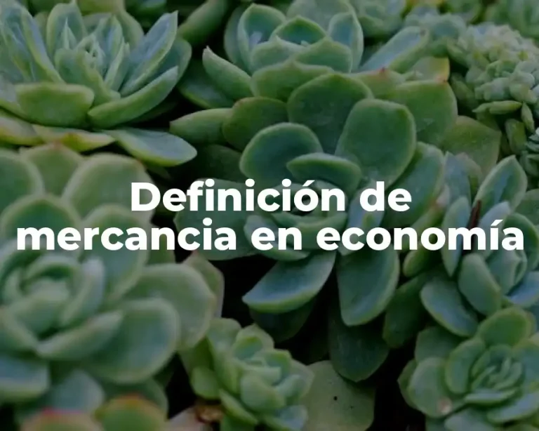 Definición de mercancia en economía