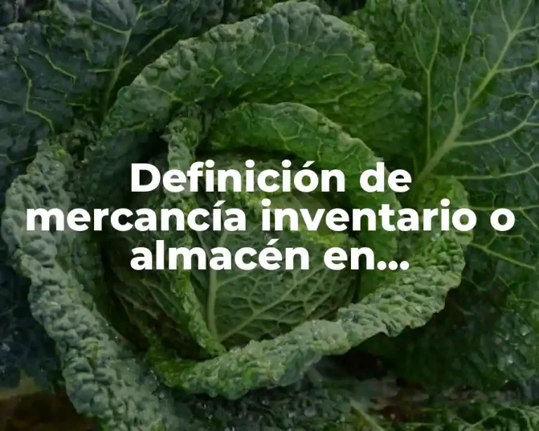 Definición de mercancía inventario o almacén en contabilidad