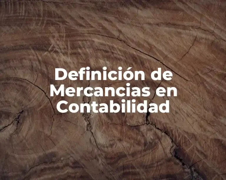 Definición de Mercancias en Contabilidad