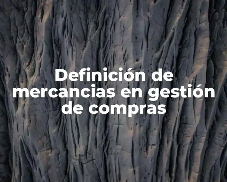 Definición de mercancias en gestión de compras