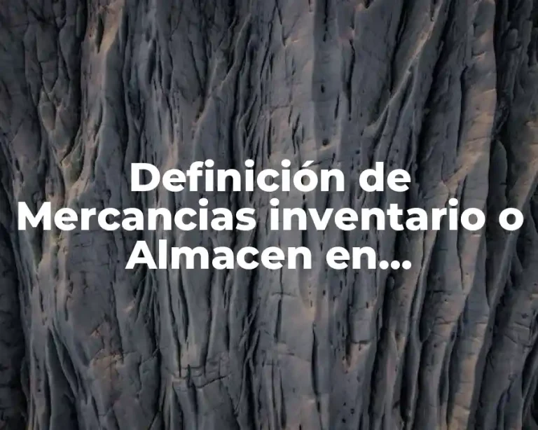 Definición de Mercancias inventario o Almacen en contabilidad