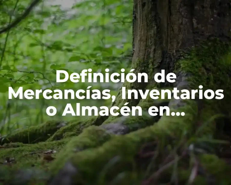 Definición de Mercancías, Inventarios o Almacén en Contabilidad Yahoo