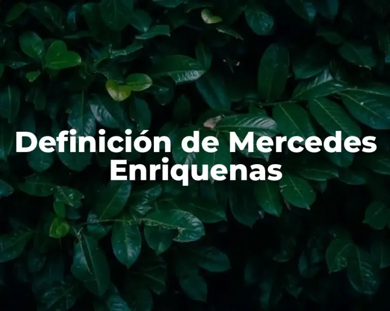 Definición de Mercedes Enriquenas