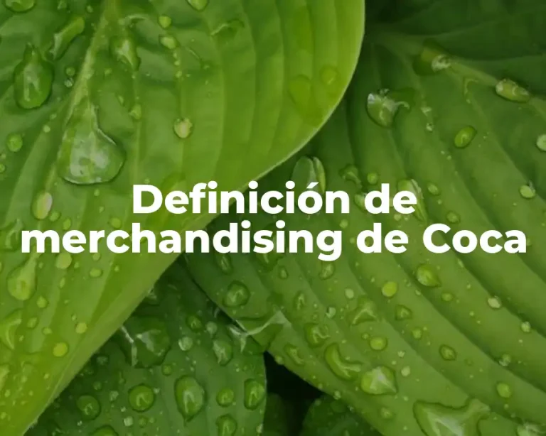 Definición de merchandising de Coca