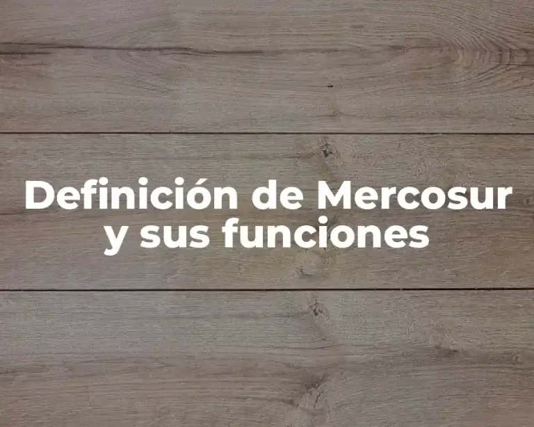 Definición de Mercosur y sus funciones