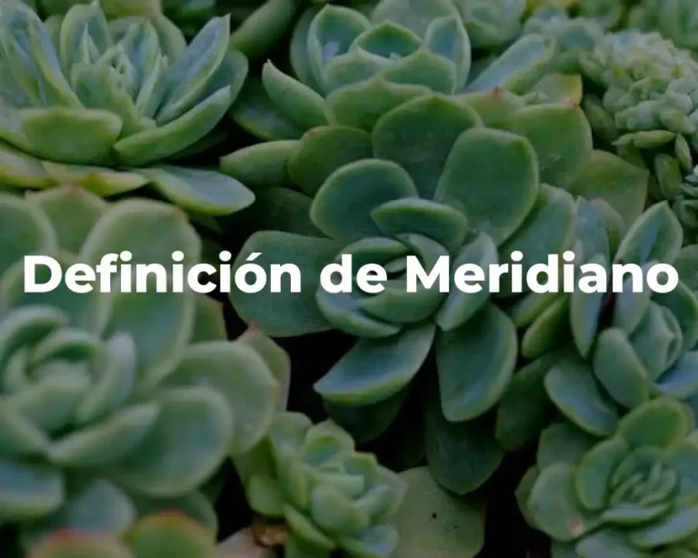 Definición de Meridiano