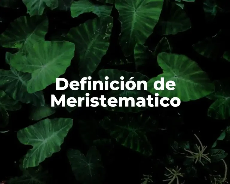 Definición de Meristematico