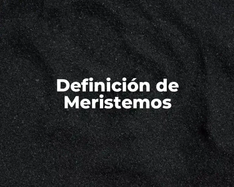 Definición de Meristemos