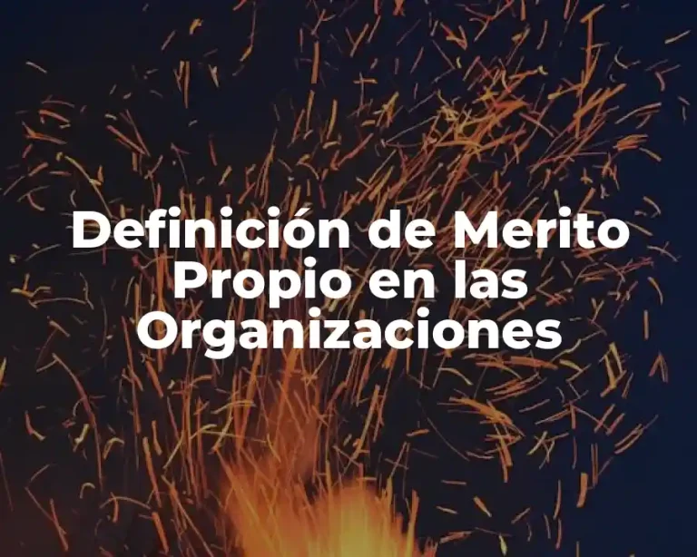 Definición de Merito Propio en las Organizaciones
