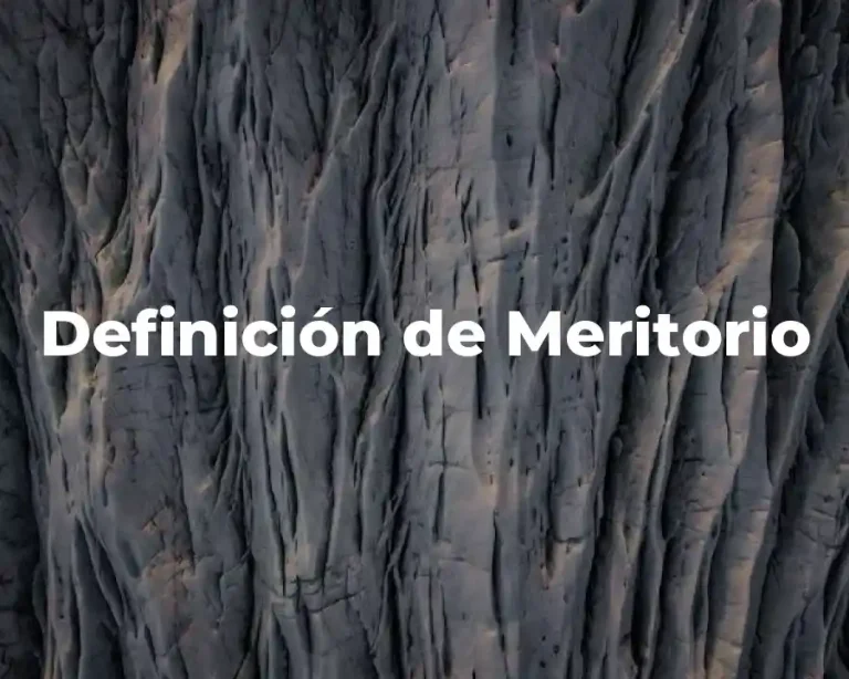 Definición de Meritorio