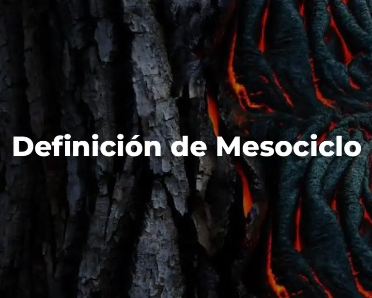 Definición de Mesociclo