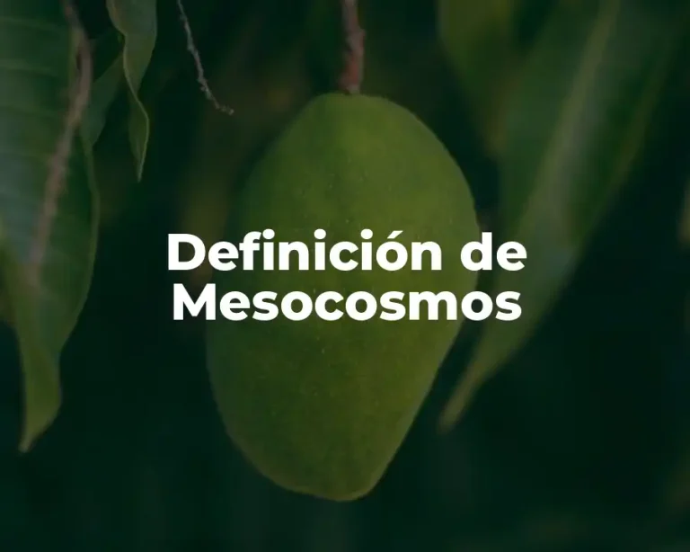 Definición de Mesocosmos