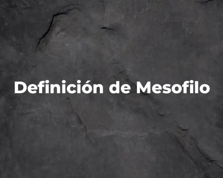 Definición de Mesofilo