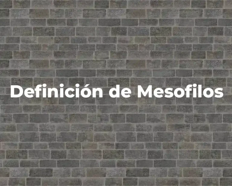 Definición de Mesofilos