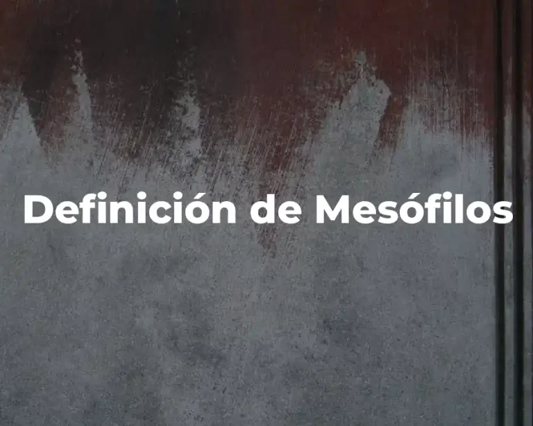 Definición de Mesófilos