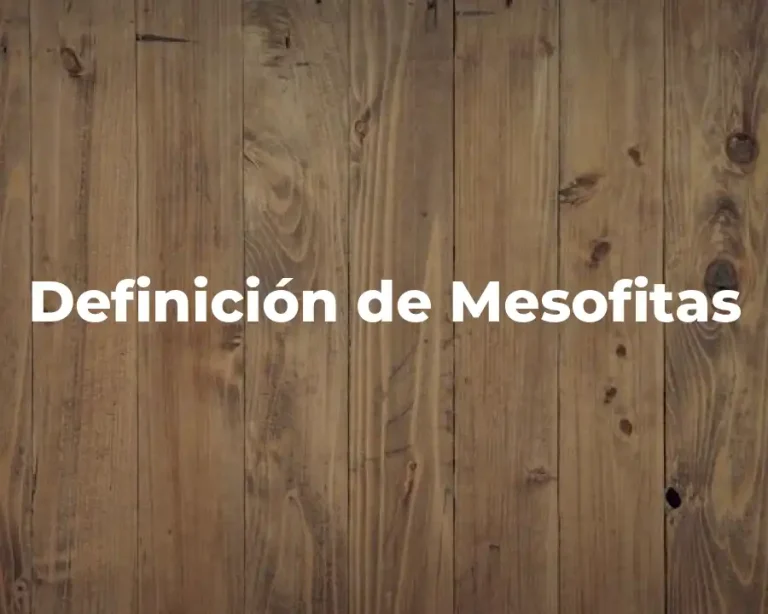 Definición de Mesofitas