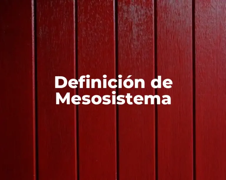 Definición de Mesosistema
