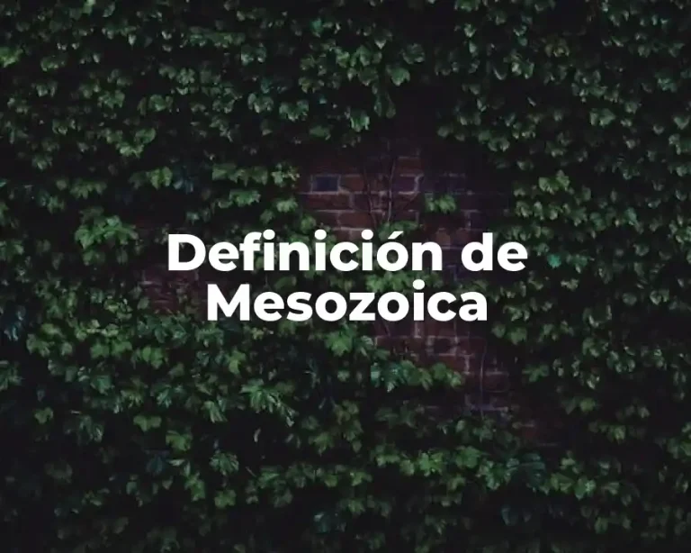 Definición de Mesozoica