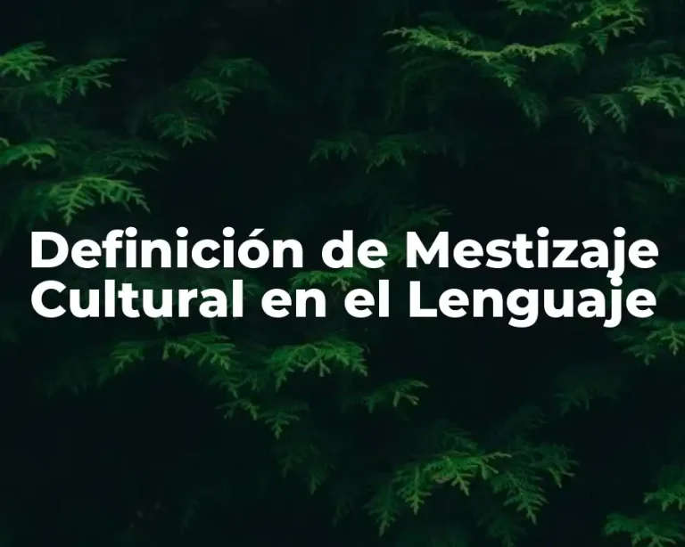 Definición de Mestizaje Cultural en el Lenguaje