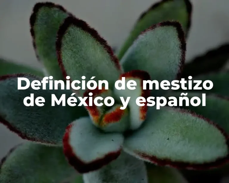 Definición de mestizo de México y español