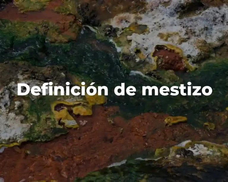 Definición de mestizo