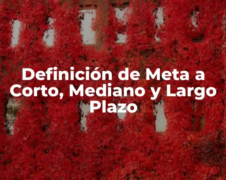 Definición de Meta a Corto, Mediano y Largo Plazo
