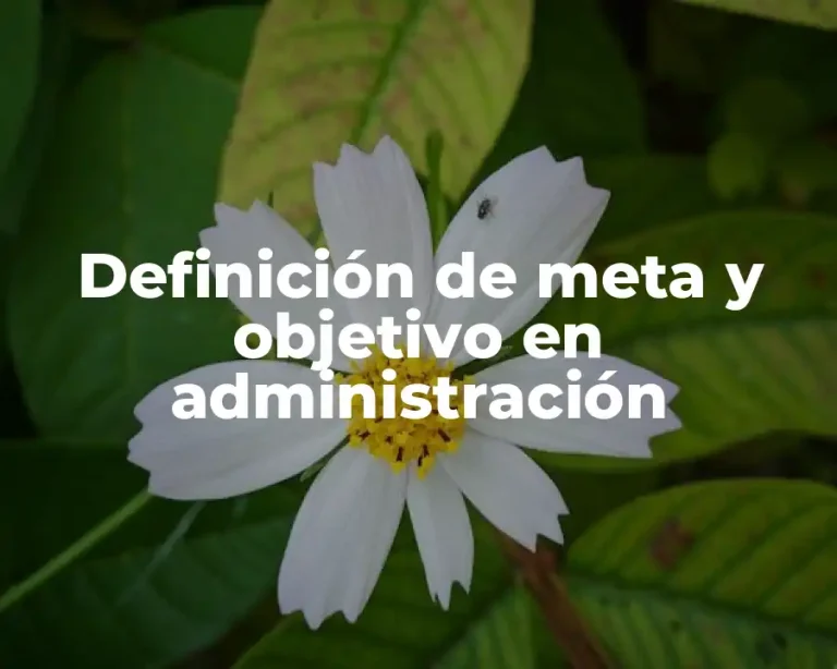 Definición de meta y objetivo en administración