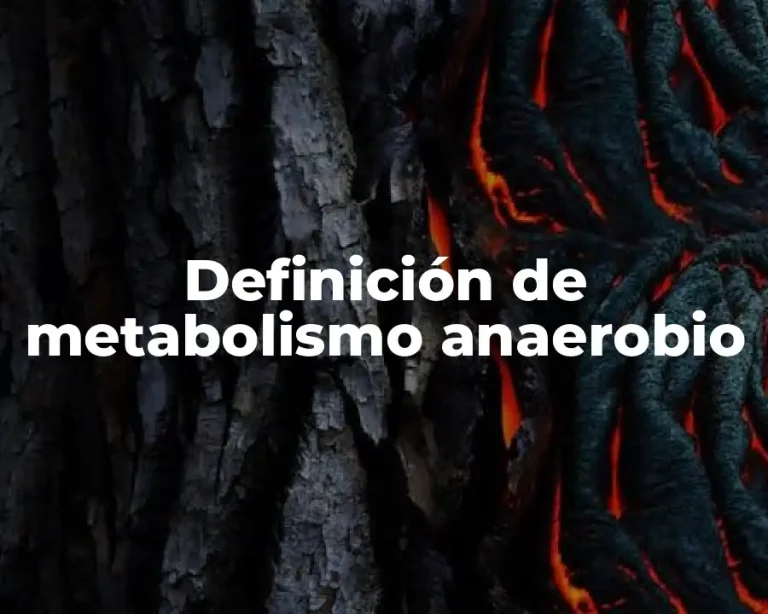 Definición de metabolismo anaerobio