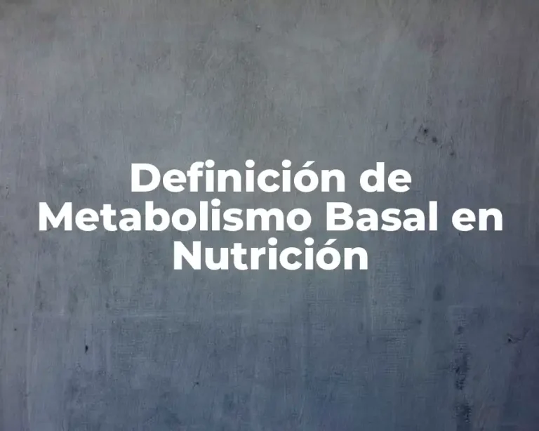 Definición de Metabolismo Basal en Nutrición