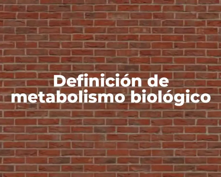 Definición de metabolismo biológico