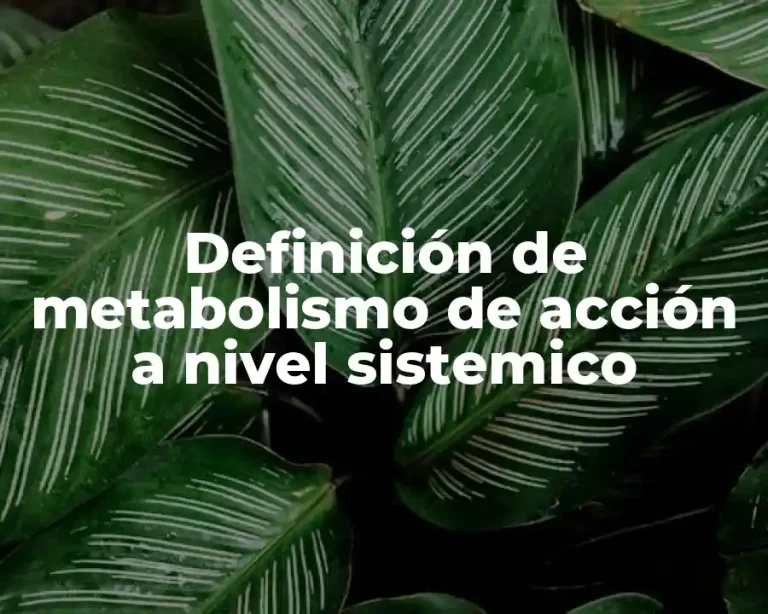 Definición de metabolismo de acción a nivel sistemico