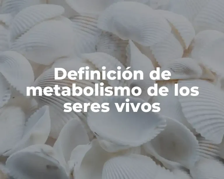 Definición de metabolismo de los seres vivos