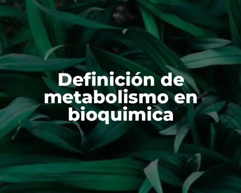 Definición de metabolismo en bioquimica