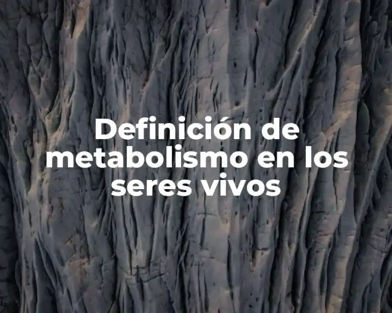 Definición de metabolismo en los seres vivos