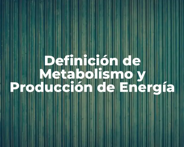 Definición de Metabolismo y Producción de Energía
