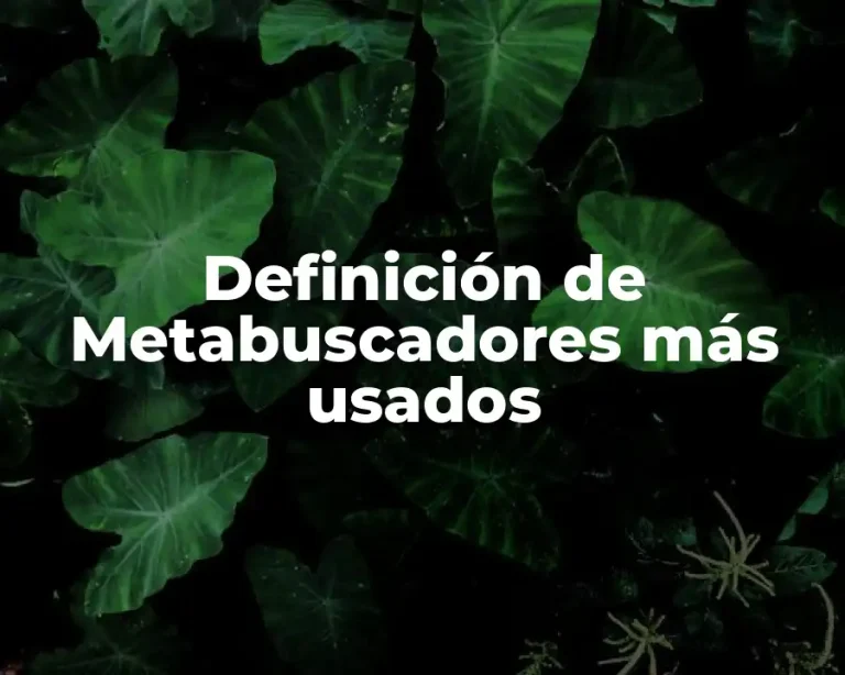 Definición de Metabuscadores más usados