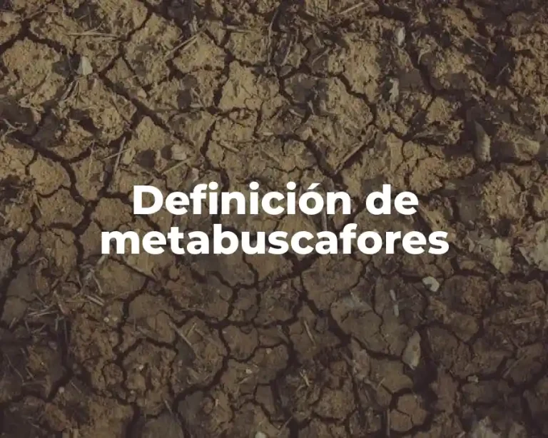 Definición de metabuscafores