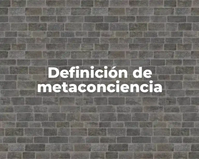 Definición de metaconciencia