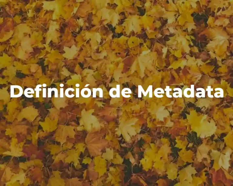 Definición de Metadata
