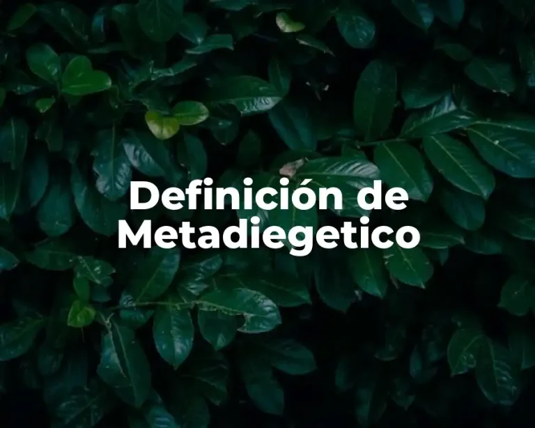 Definición de Metadiegetico